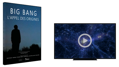 Big bang l'appel des origines, en DVD et VOD